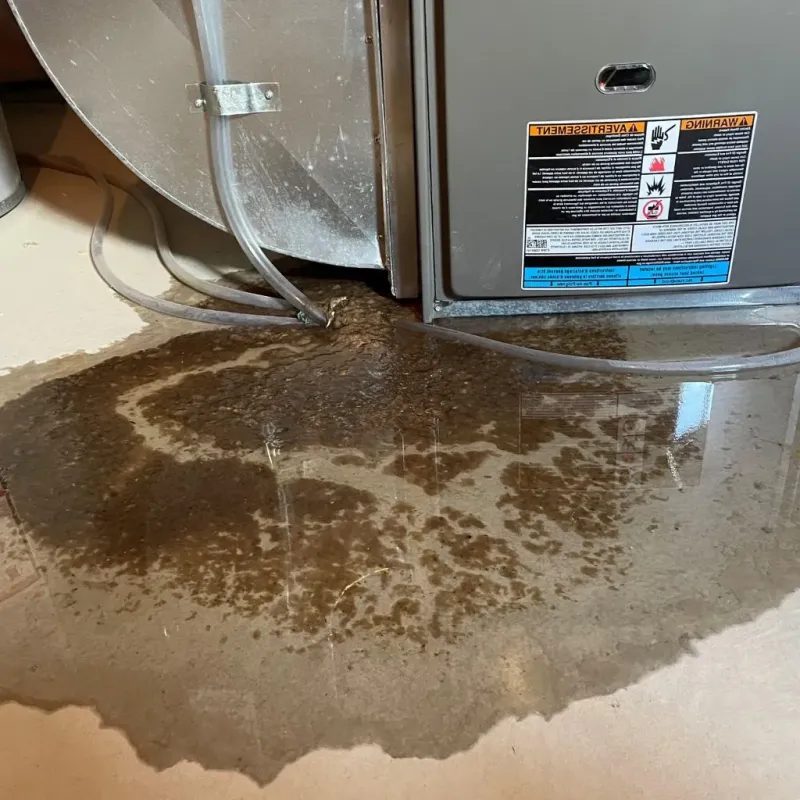 Pipe Burst and Leak Restoration in Saint Louis County, MO